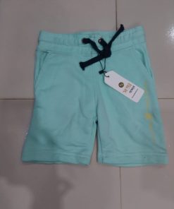Shirts Pant